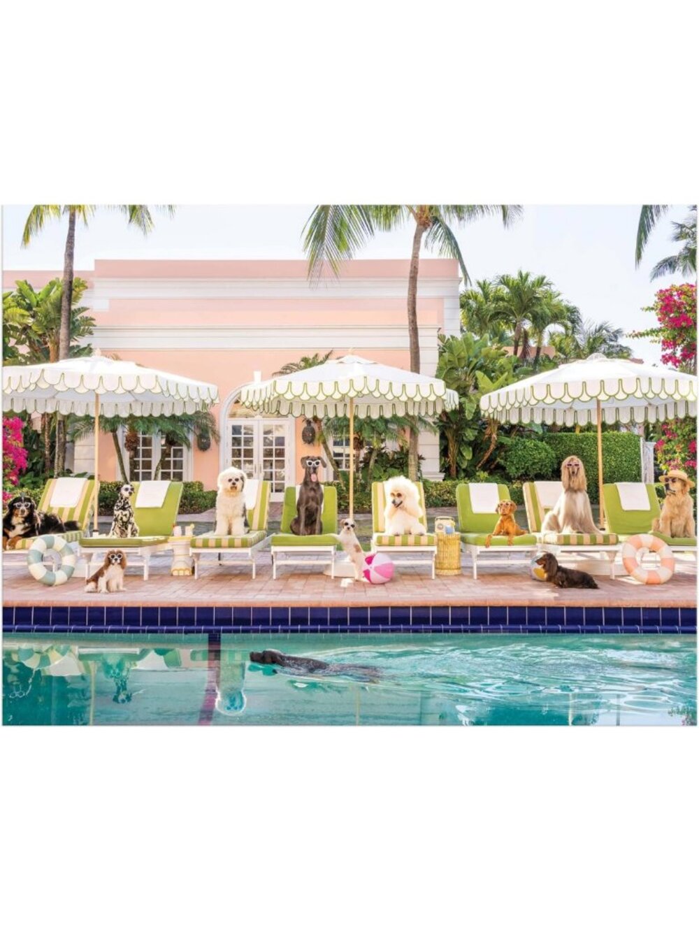 Palm Beach 1000 Piece Jigsaw Puzzle in Collector Book Box - Fun Family Activity